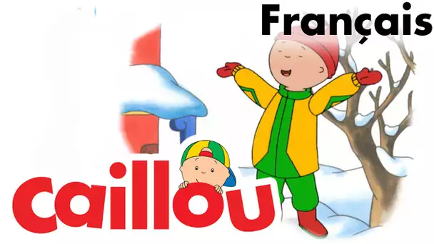 Caillou FRANÇAIS - Les éléphants (S03E03) | conte pour enfant | Caillou en Français