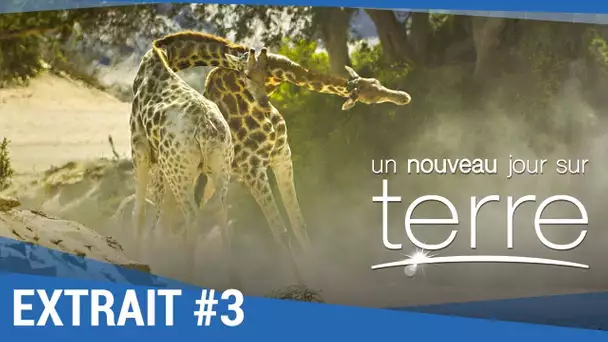 UN NOUVEAU JOUR SUR TERRE - Extrait 'Girafes' VF [actuellement au cinéma]