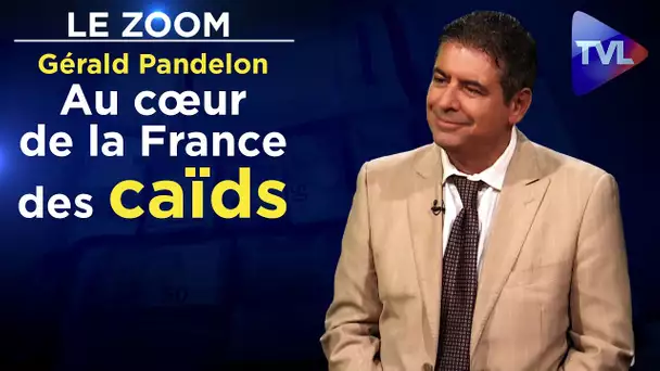 Au cœur de la France des caïds - Gérald Pandelon - Le Zoom - TVL