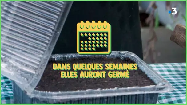 Les #TutosJardin de Jean-Pierre : Les semis, comment réaliser une terrine de semis (1/4)