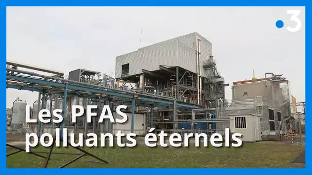 Les PFAS, polluants éternels, "on en trouve partout, eau, air…" : enquête dans les Hauts-de-France