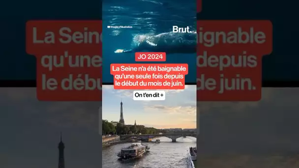 La Seine n'a été baignable qu'une seule fois depuis le début du mois de juin