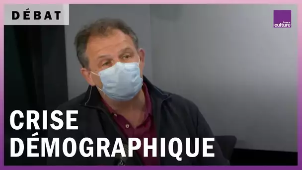 Démographie de crise, crise démographique