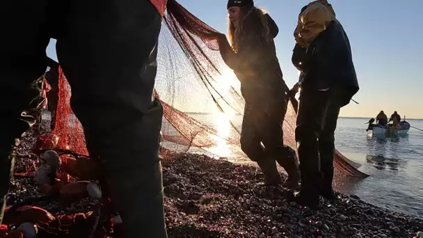 A Cagnes-sur-Mer, avec les derniers pêcheurs de poutine