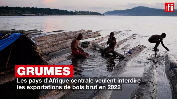 Grumes : les pays d'Afrique centrale veulent interdire les exportations de bois brut en 2022