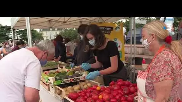 Angers : une association lutte contre le gaspillage alimentaire sur les marchés
