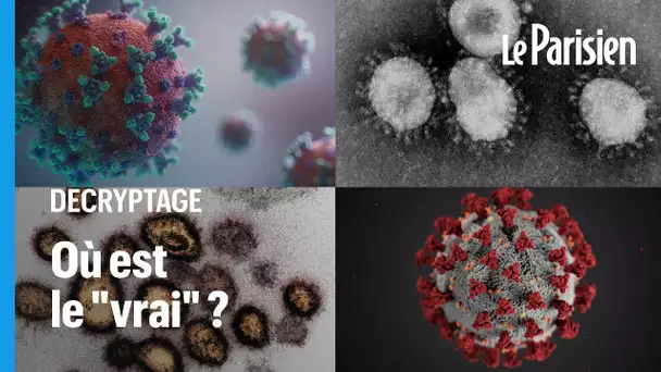 À quoi ressemble vraiment le coronavirus ?