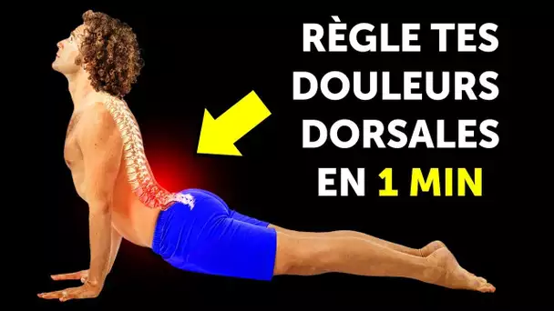 Exercices en 10 Minutes Pour se Muscler le Dos