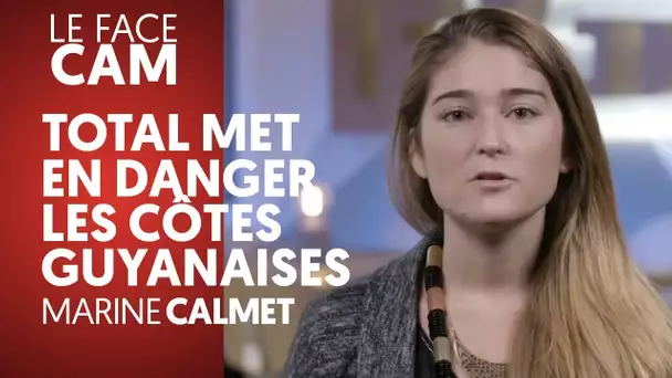 TOTAL MET EN DANGER LES CÔTES GUYANAISES - MARINE CALMET