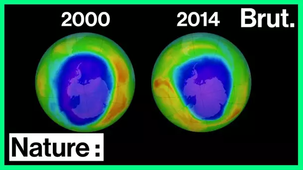 Couche d'ozone : Histoire d'une success-story environnementale