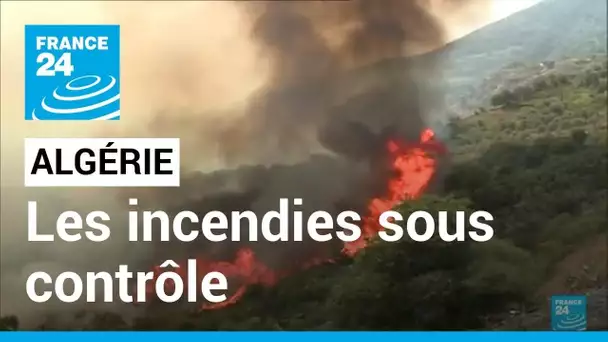 Algérie : des incendies enfin sous contrôle malgré des dizaines de morts • FRANCE 24