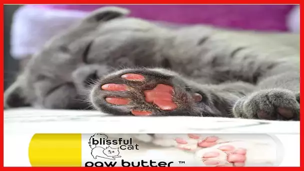 The Blissful Cat Paw Butter