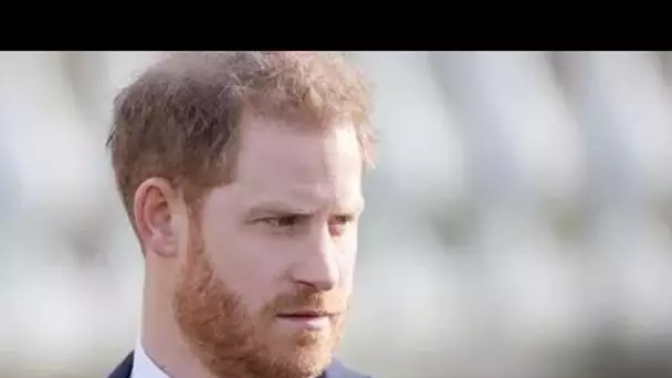Royal Family LIVE: «Des tensions importantes» entre Harry et Firm mises à nu – nouvelle bombe