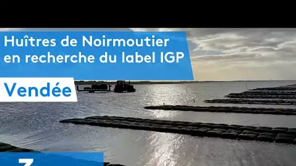 Vendée : Huîtres de Noirmoutier en recherche du label IGP
