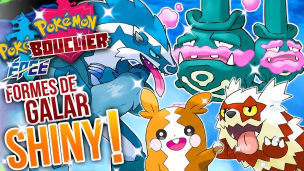 Les FORMES DE GALAR SHINY & MORPEKO SHINY - Pokémon Épée Bouclier ~ Shiny Possibles
