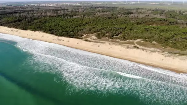 Série plages : Les Conches à Longeville-sur-Mer