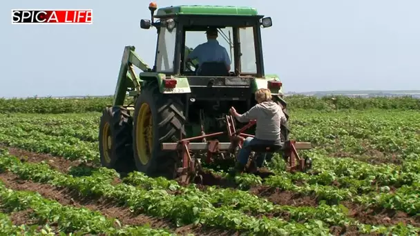 Agriculteurs : leur combat pour un métier de passion