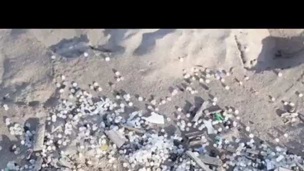 MEDITERRANEO – En Corse, l’association « Mare Vivu » mobilisée contre les microplastiques
