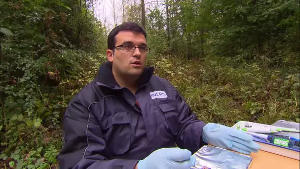 Doit-on se méfier de l'eau du robinet ?