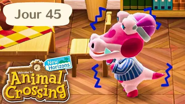 Jour 45 | Ils sont tous contaminés ! | Animal Crossing : New Horizons
