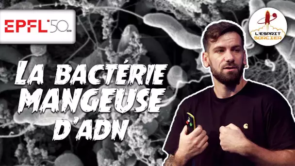 La bactérie mangeuse d'ADN | Nicolas Flaugnatti - 50 ans de l'EPFL