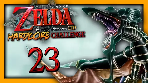 ZELDA TP HARDCORE : LE COMBAT VS LE DRAGON ! #23