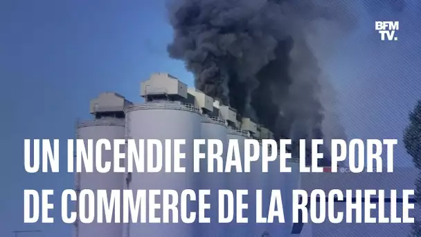 La Rochelle: un important incendie frappe le port de commerce