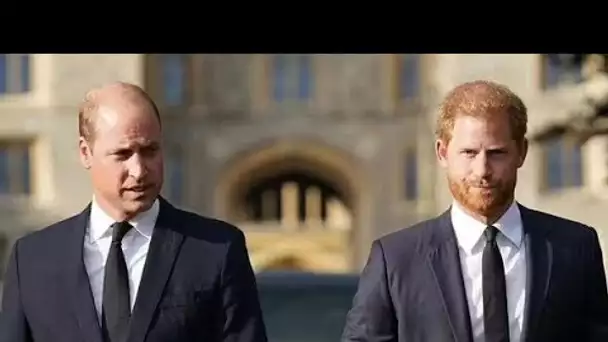 Frères à des kilomètres l'un de l'autre: Harry et William enregistrent des messages séparés pour les