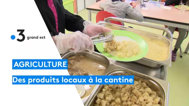 De plus en plus de produits locaux dans les cantines alsaciennes