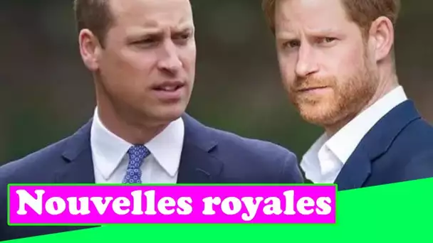 Le prince Harry "conduit le coin avec un marteau" à travers la relation avec le prince William