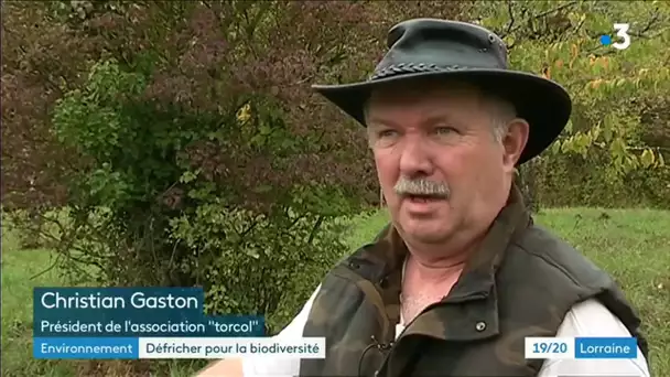Torcol, une association qui défriche !