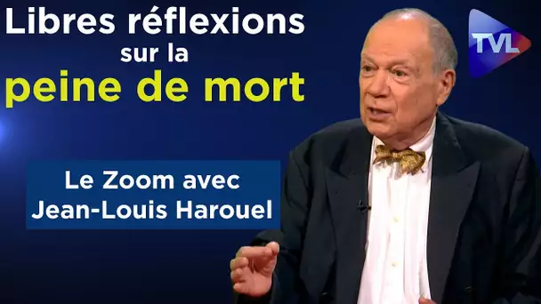 Libres réflexions sur la peine de mort - Le Zoom - Jean-Louis Harouel - TVL