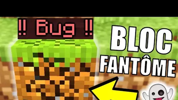 5 BUGS INCROYABLES DANS LA SNAPSHOT MINECRAFT 1.17