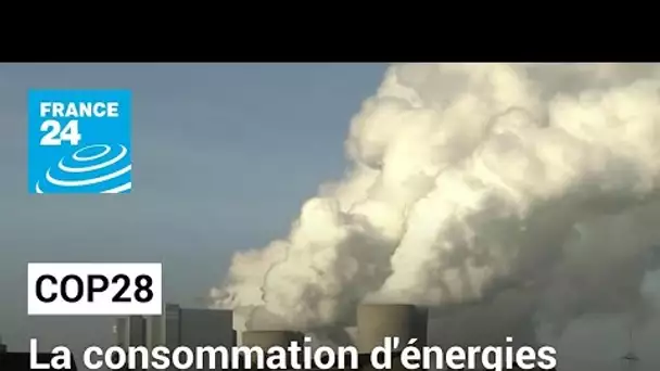 COP28 : la consommation d'énergies fossiles bat des records • FRANCE 24