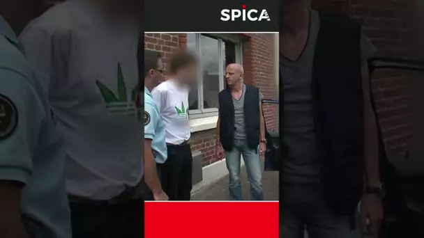 Stups : piégé par son tee-shirt ! #shorts 😂🌿