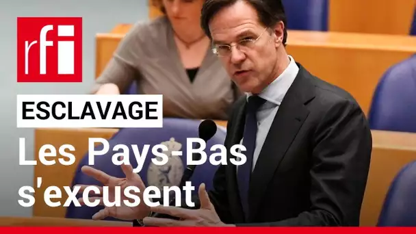 Pays-Bas : les excuses de Premier ministre pour l'esclavage • RFI