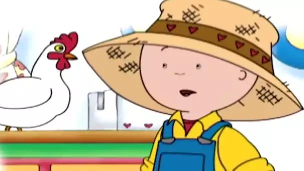 Caillou et le Poulet | Caillou en Français