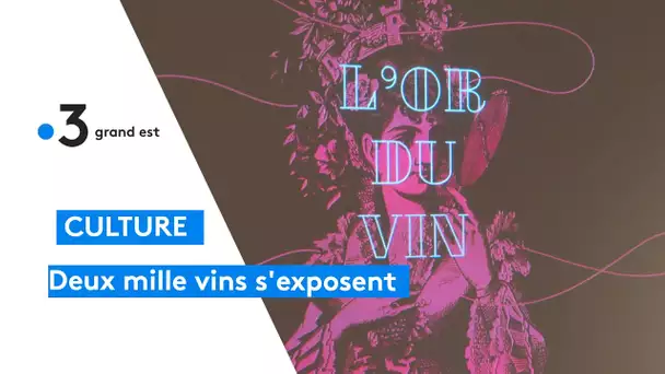 Deux mille vins, une exposition qui retrace la complexe histoire du vin en Alsace