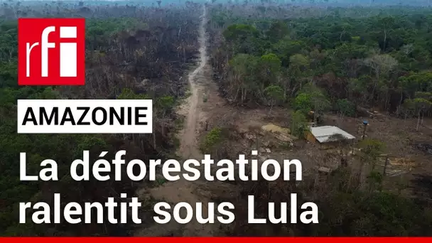 Brésil : la déforestation en Amazonie recule • RFI