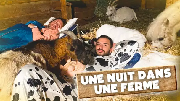 Une nuit dans une Ferme (poney, âne, chèvres etc.)