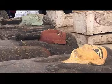 Egypte : des trésors mis au jour dans la célèbre nécropole de Saqqara.