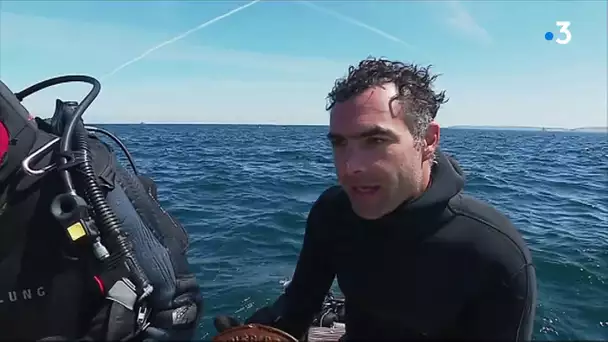 Dans la chaussée de Sein, plongée dans notre histoire maritime
