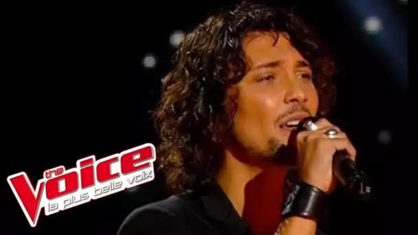 Kate Bush – Wuthering Heights | Fabien Incardona | The Voice France 2014 | Blind Audition