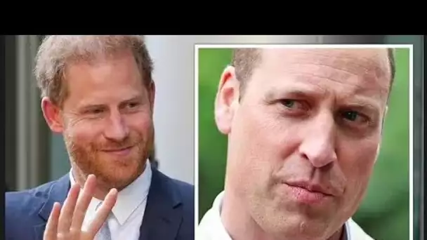 Le prince Harry "plus populaire que William" aux États-Unis selon de nouveaux sondages