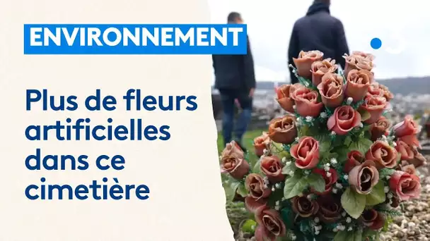 Environnement : les fleurs artificielles bientôt interdites sur les tombes de ce cimetière