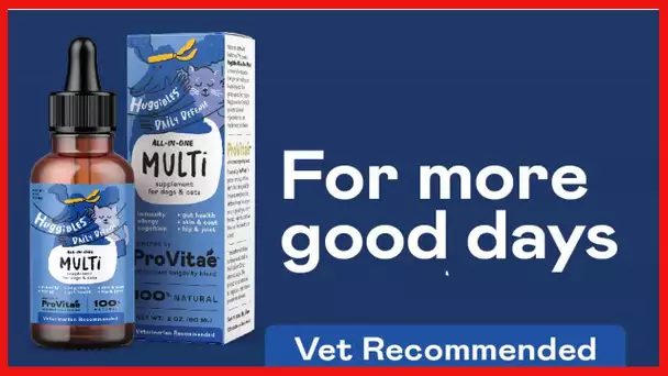 HUGGIBLES All-in-One Multivitamin Liquid for Dogs and Cats, for Digestive Support & Immunity