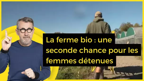 La ferme bio : une seconde chance pour les femmes détenues - C Jamy