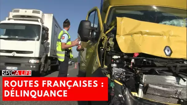 Faux permis, vraies menaces : le combat des routes françaises