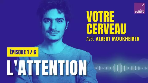 Votre cerveau filtre l'info : la force de l'attention, avec Albert Moukheiber