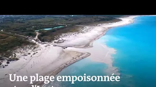 Une plage empoisonnée star d'Instagram